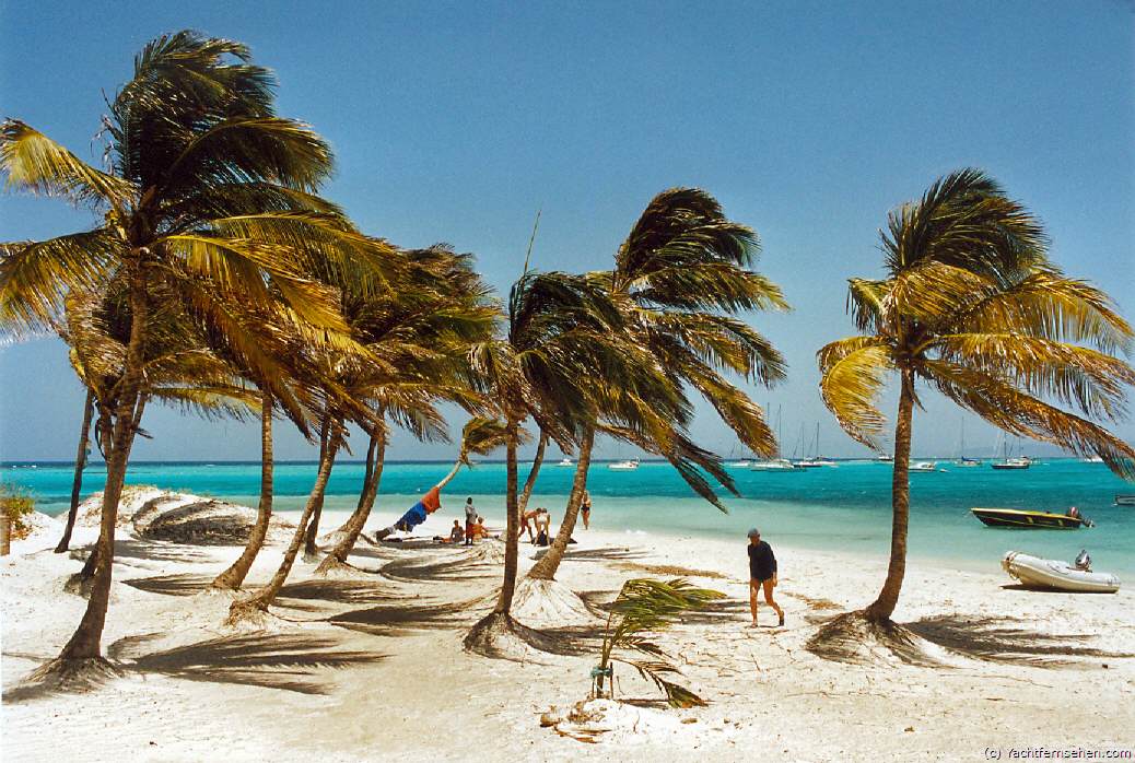 Karibik pur: Baradal, eine unbewohnte Insel in den Tobago Cays, St. Vincent and the Grenadines - by Yachtfernsehen.com