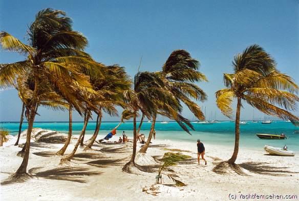 Karibik pur: Baradal, eine unbewohnte Insel in den Tobago Cays, St. Vincent and the Grenadines - by Yachtfernsehen.com