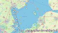 Eine stets aktuelle Übersicht über die "waterplanten overlast" gibt die Website www.waterplantmelder.nl.